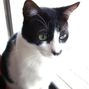 Meet your Posher, Ricky